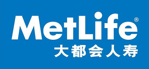 收入证明_联泰大都会收入(2)