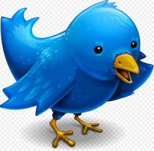Twitterrific图标