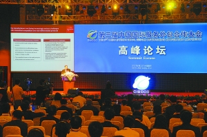 国际服务外包，叫响南京品牌(组图)