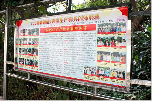 再战国内 TCL通讯电子商务营销总监专访