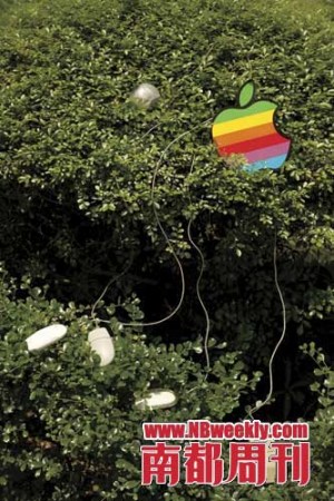 一个苹果迷收集的旧版苹果标志鼠标垫及历代苹果有线鼠标。对于苹果粉丝而言,苹果产品“不完美的完美”也是独有的“苹果味道”。摄影-孙海 一个苹果迷收集的旧版苹果标志鼠标垫及历代苹果有线鼠标。对于苹果粉丝而言,苹果产品“不完美的完美”也是独有的“苹果味道”。摄影-孙海